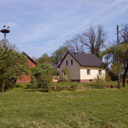 Ferienwohnung Am Storchennest Schmogrow Екстер'єр фото
